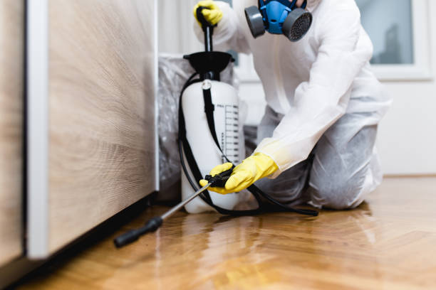 Best Flea Control Services  in Mustang Ridge, TX