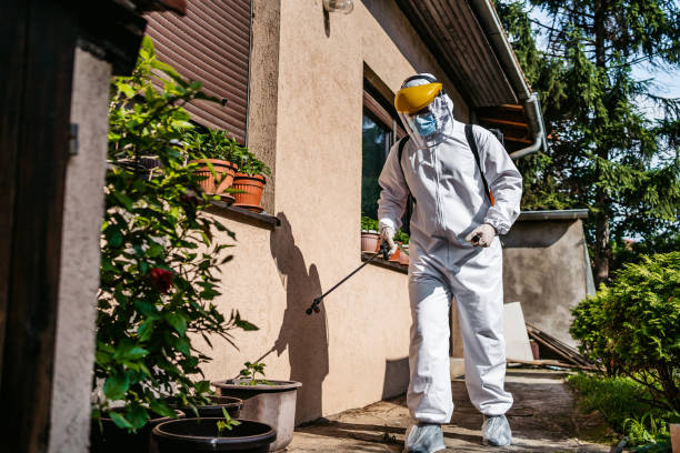 Best Mosquito Control Services  in Mustang Ridge, TX