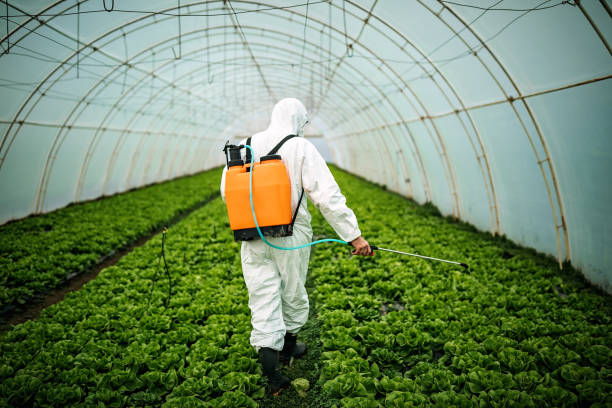 Best Local Pest Control Services  in Mustang Ridge, TX