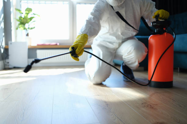 Reliable Mustang Ridge, TX Pest Control Solutions