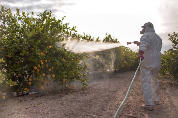  Mustang Ridge, TX Pest Control Pros