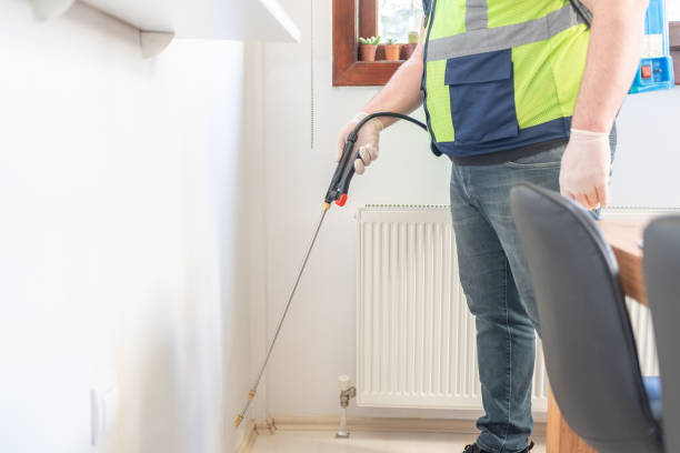 Best Rat Extermination Near Me  in Mustang Ridge, TX