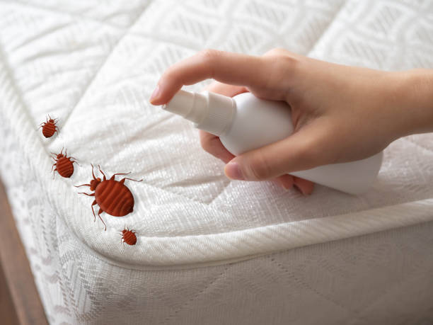 Pest Control Cost in Mustang Ridge, TX
