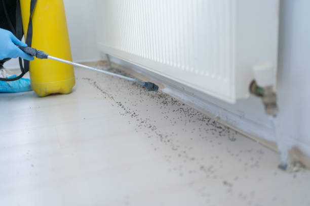 Best Wildlife Control Services  in Mustang Ridge, TX