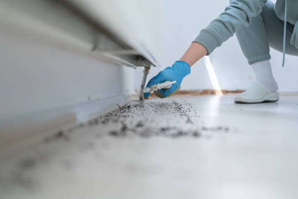 Best Commercial Pest Control Services  in Mustang Ridge, TX